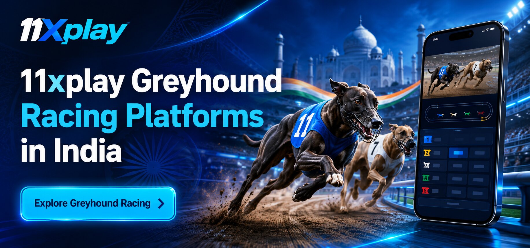 Greyhound Betting Platforms
